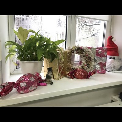 gallery