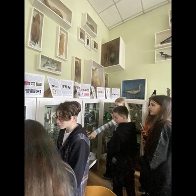 gallery
