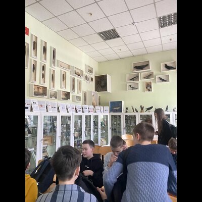 gallery